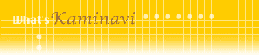 сEс@irƂ́H